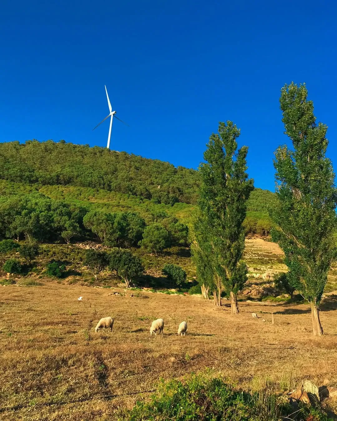 Tour quad Randomed Quad Tanger, promenade guidée entre mer et montagne